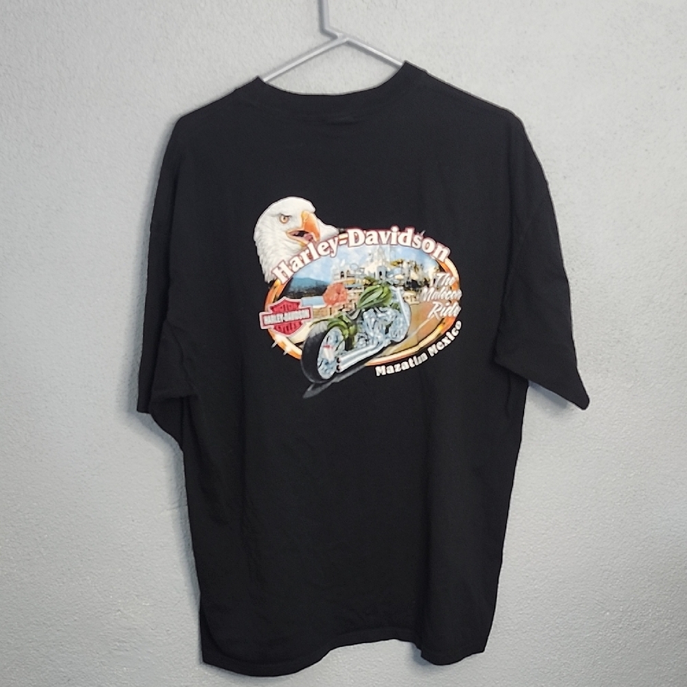 Harley-Davidson Black Eagle Graphic Tee - Men
